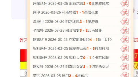 多特蒙德主场击败海登海姆